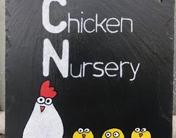 Ardoise Chicken Nursery